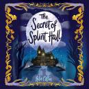 The Secret of Splint Hall Audiobook
