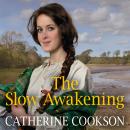 The Slow Awakening Audiobook