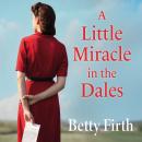 A Little Miracle in the Dales Audiobook