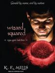 Wizard Squared Audiobook