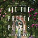 All the Pretty Places: A Novel of the Gilded Age Audiobook