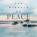 The Miracle of Peace: You Can Find Peace in Every Challenge You Face Audiobook