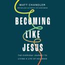Becoming Like Jesus: The Everyday Journey to Living a Life of Holiness Audiobook