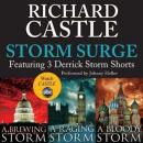 Storm Surge: Featuring 3 Derrick Storm Shorts:  Brewing Storm, Raging Storm and Bloody Storm Audiobook