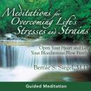 Meditations for Overcoming Life's Stresses and Strains Audiobook