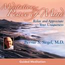 Meditations For Peace of Mind Audiobook