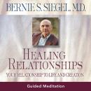 Healing Relationships: Your Relationship to Life and Creation Audiobook