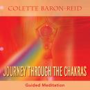 Journey Through the Chakras Audiobook