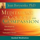 Meditations for Courage and Compassion: Developing Resilience in Turbulent Times Audiobook