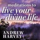 Meditations to Live Your Divine Life Audiobook