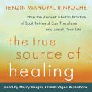 The True Source of Healing: How the Ancient Tibetan Practice of Soul Retrieval Can Transform and Enr Audiobook