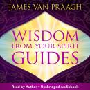 Wisdom from Your Spirit Guides: A Handbook to Contact Your Soul's Greatest Teachers Audiobook