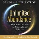 Unlimited Abundance: Align Your Life with the Unseen Forces of Success Audiobook