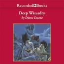 Deep Wizardry Audiobook