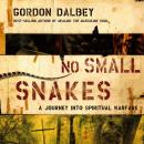 No Small Snakes: A Journey Into Spiritual Warfare Audiobook