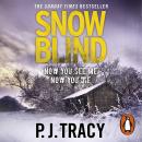 Snow Blind: Twin Cities Book 4 Audiobook