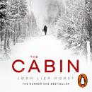 The Cabin Audiobook