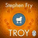Troy: Our Greatest Story Retold Audiobook