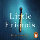 Little Friends: An utterly gripping and shocking new psychological suspense from the bestselling aut Audiobook