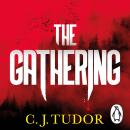 The Gathering Audiobook