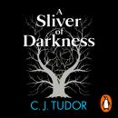 A Sliver of Darkness Audiobook