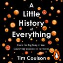 A Little History of Everything: From the Big Bang to you (and every moment in between) Audiobook