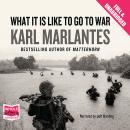 What It Is Like To Go To War Audiobook