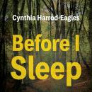 Before I Sleep Audiobook