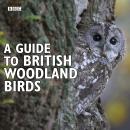 Guide to British Woodland Birds, Brett Westwood, Stephen Moss