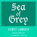 Sea of Grey Audiobook
