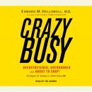 Crazybusy: Overstretched, Overbooked, and About to Snap! Strategies for Handling Your Fast-Paced Life
