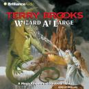 Wizard at Large Audiobook