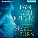 Sizzle and Burn Audiobook