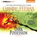 Dark Possession Audiobook