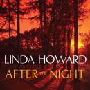 After the Night Audiobook