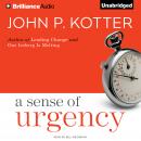 A Sense of Urgency Audiobook
