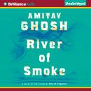 River of Smoke Audiobook