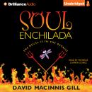 Soul Enchilada Audiobook