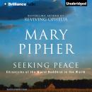Seeking Peace Audiobook