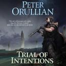 Trial of Intentions, Peter Orullian