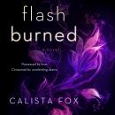 Flash Burned: A Novel Audiobook