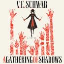 A Gathering of Shadows: A Novel Audiobook
