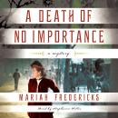 A Death of No Importance: A Novel