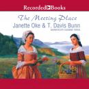 The Meeting Place Audiobook