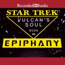 Epiphany Audiobook