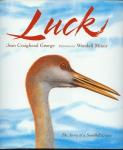 Luck Audiobook