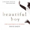 Beautiful Boy: A Father's Journey through His Son's Meth Addiction Audiobook
