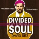 Divided Soul: The Life of Marvin Gaye, David Ritz