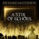 A Stir of Echoes Audiobook