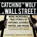 Catching the Wolf of Wall Street Audiobook